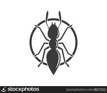 Ant icon vector illustration design template