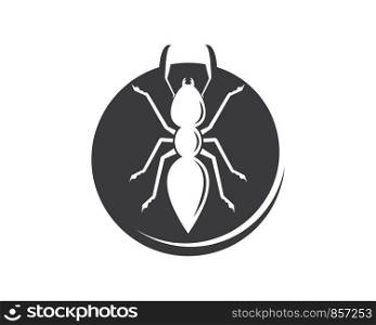 Ant icon vector illustration design template