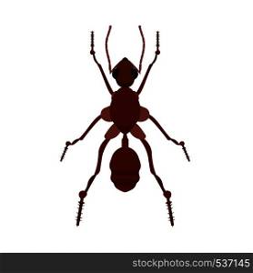 Ant small wildlife brown worker top view vector. Flat forest insect icon