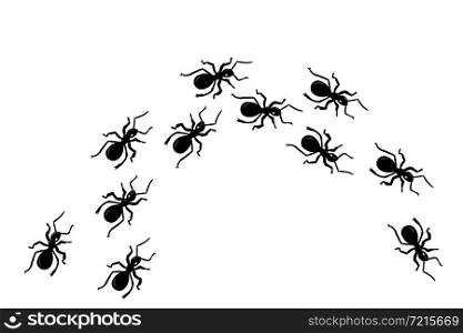 Ant trail, vector illustration