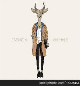 antelope dressed up in modern style, city look