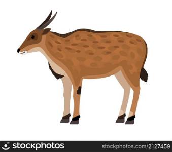 Antelope with horns. Cartoon African exotic character of zoo, symbol of hunting trophy, hoofed beast of wildlife, vector illustration of eland isolated on white background. Antelope with horns