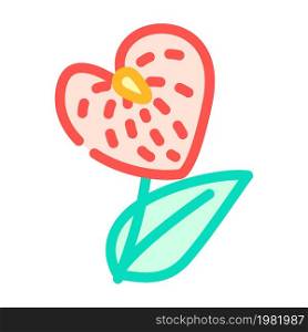 anthurium flower color icon vector. anthurium flower sign. isolated symbol illustration. anthurium flower color icon vector illustration