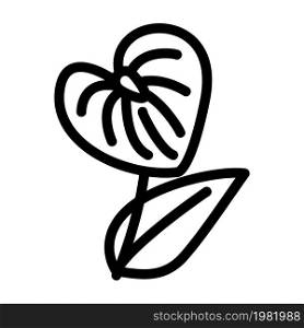 anthurium flower line icon vector. anthurium flower sign. isolated contour symbol black illustration. anthurium flower line icon vector illustration