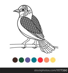 Antistress coloring with zentangle bird isolated on white background, vector illustration. Antistress coloring zentangle bird