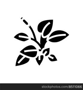 anubia nana glyph icon vector. anubia nana sign. isolated symbol illustration. anubia nana glyph icon vector illustration