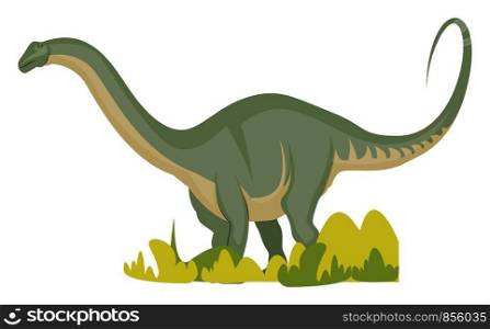 Apatosaurus, illustration, vector on white background.