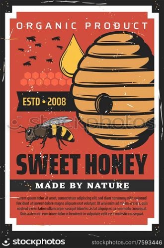 Apiary, beekeeping retro poster with wild bees flying at hive. Natural farm production made by nature, honey drop fall at beehive, vector organic apiculture, apiary product vintage grunge advertising. Apiary, beekeeping vintage poster with wild bees