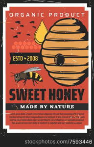 Apiary, beekeeping retro poster with wild bees flying at hive. Natural farm production made by nature, honey drop fall at beehive, vector organic apiculture, apiary product vintage grunge advertising. Apiary, beekeeping vintage poster with wild bees