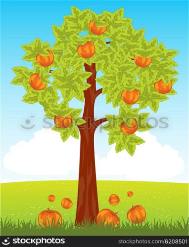 Aple tree with red apple. Tree aple tree with ripe red apple in field