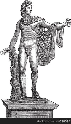 Apollo Belvedere or Apollo of the Belvedere or Pythian Apollo in Vatican City, vintage engraving. Old engraved illustration of the statue of Apollo Belvedere.