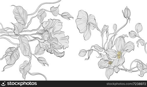 Apple blossom and Eustoma flowers. Botany. Set. Vintage flowers. Black and white illustration in the style of engravings.. Apple blossom and Eustoma flowers. Botany. Set. Vintage flowers.