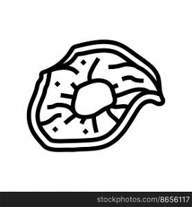 apple dried fruit line icon vector. apple dried fruit sign. isolated contour symbol black illustration. apple dried fruit line icon vector illustration