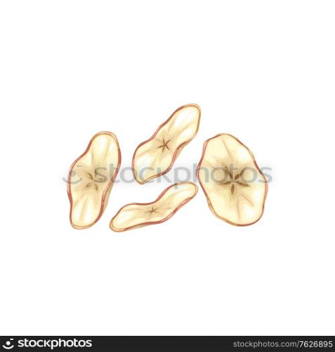 Apple dried fruits, dry food snacks and fruit sweets, vector isolated icon. Dried apples slices, culinary and sweet dessert ingredient, fruity natural organic food. Apple dried fruits, dry food snack, fruit sweets