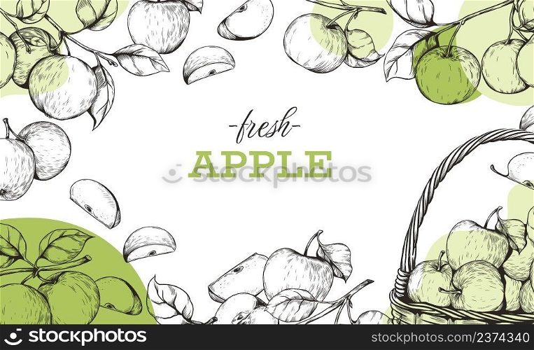 Apple framing. Hand drawn banner with garden green fruits engraving. Natural fresh juicy slices with leaves and seeds. Basket crop. Sketch border. Organic vegetarian ripe food. Vector illustration. Apple framing. Hand drawn banner with garden green fruits engraving. Natural fresh slices with leaves and seeds. Basket crop. Sketch border. Organic vegetarian food. Vector illustration