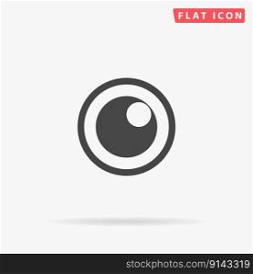 Apple of the eye. Simple flat black symbol with shadow on white background. Vector illustration pictogram