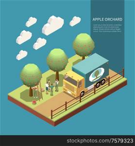 Apple orchard in garden isometric composition with farmers engaged in harvesting of fruits and loading into truck vector Illustration