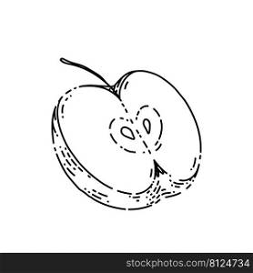 apple piece sketch hand drawn vector cut slice. half fruit. fresh juicy. sweet part vintage black line illustration. apple piece sketch hand drawn vector
