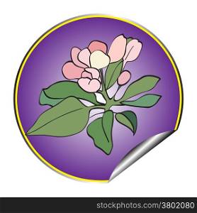 Apple tree flower purple sticker isolated on white