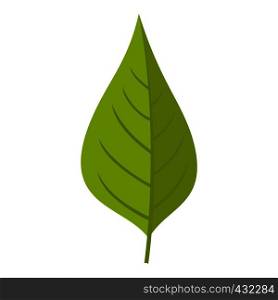 Apple tree green leaf icon flat isolated on white background vector illustration. Apple tree green leaf icon isolated