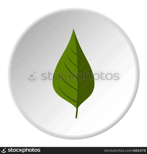 Apple tree green leaf icon in flat circle isolated on white background vector illustration for web. Apple tree green leaf icon circle