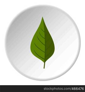 Apple tree green leaf icon in flat circle isolated on white background vector illustration for web. Apple tree green leaf icon circle