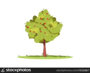 Apple tree semi flat RGB color vector illustration. Local production of eco harvest. Garden plant for agriculture business. Cultivated fruit tree isolated cartoon object on white background. Apple tree semi flat RGB color vector illustration