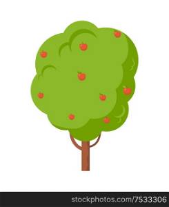 Apple tree with fruit vector icon in cartoon style isolated sign. Fruit-tree garden with harvest on branches, great bushy crown and short thin stalk. Apple Tree Full of Fruit Isolated Cartoon Icon