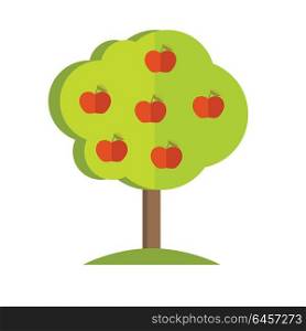 Apple tree with fruits icon. Vector illustration in flat style design. Plant pattern for environment, gardening, farming, business growing concepts. Isolated on white background. . Apple Tree vector illustration in flat style design.