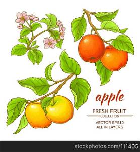 apple vector set. apple branches vector set on white background
