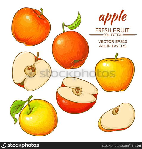 apple vector set. ripe apples vector set on white background