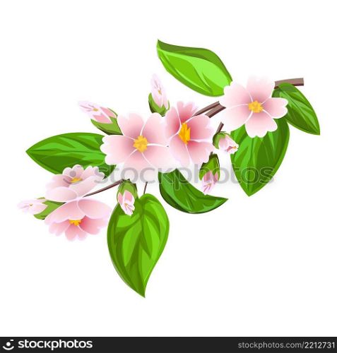 Apricot flower branch icon cartoon vector. Jam fruit. Cut leaf. Apricot flower branch icon cartoon vector. Jam fruit