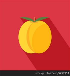 Apricot icon with shadow in flat design