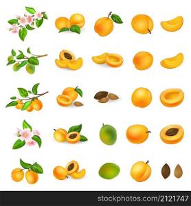 Apricot icons set cartoon vector. Confiture jam. Nectarine peach. Apricot icons set cartoon vector. Confiture jam