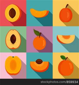 Apricot icons set. Flat set of apricot vector icons for web design. Apricot icons set, flat style