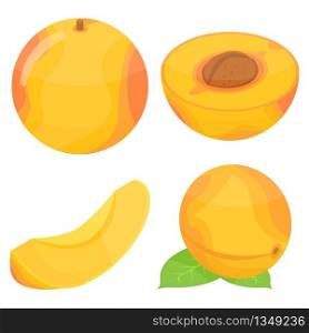 Apricot icons set. Isometric set of apricot vector icons for web design isolated on white background. Apricot icons set, isometric style