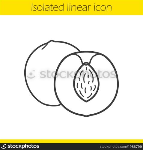 Apricot linear icon. Halved peach thin line illustration. Cutted nectarine contour symbol. Vector isolated outline drawing. Peach linear icon