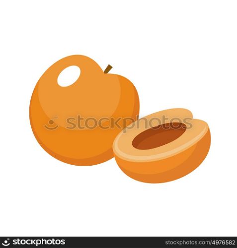 Apricot on a white background isolated. Vector illustration