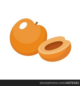 Apricot on a white background isolated. Vector illustration