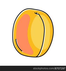 apricot ripe fruit color icon vector. apricot ripe fruit sign. isolated symbol illustration. apricot ripe fruit color icon vector illustration