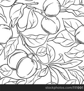 apricot seamless pattern. apricot branches seamless pattern on white background