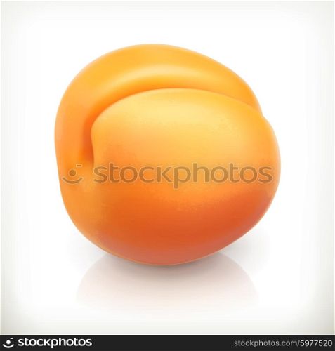Apricot, summer fruit, vector icon