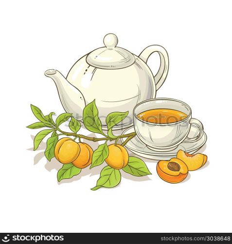 apricot tea illustration. apricot tea vector illustration on white backgrond
