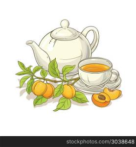 apricot tea illustration. apricot tea vector illustration on white backgrond