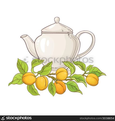 apricot tea in teapot. apricot tea vector illustration on white backgrond