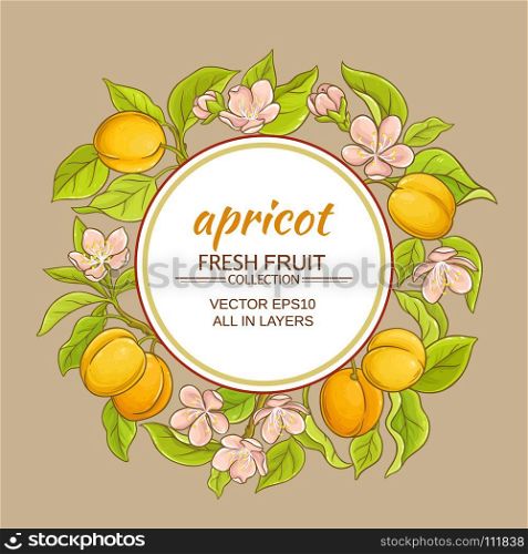 apricot vector frame. apricot branches vector frame on color background