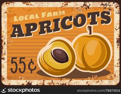 Apricots fruits metal plate rusty fruits food and farm market price, vector retro poster. Apricot fruits, agriculture food market and store price sign or rust plate. Apricots fruits metal plate rusty, food price sign