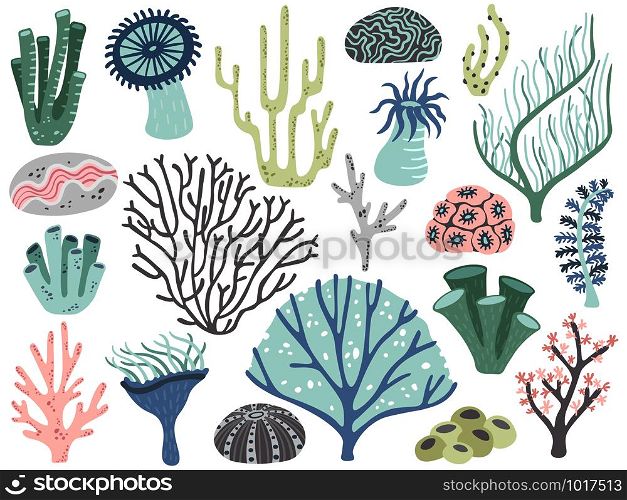 Aquarium corals and seaweed. Marine ocean coral flora, decor underwater seaweeds and different water plants. Algas and corals blossom tropical sea plant elements cartoon vector isolated icons set. Aquarium corals and seaweed. Marine ocean coral flora, decor underwater seaweeds and different water plants cartoon vector set