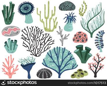 Aquarium corals and seaweed. Marine ocean coral flora, decor underwater seaweeds and different water plants. Algas and corals blossom tropical sea plant elements cartoon vector isolated icons set. Aquarium corals and seaweed. Marine ocean coral flora, decor underwater seaweeds and different water plants cartoon vector set