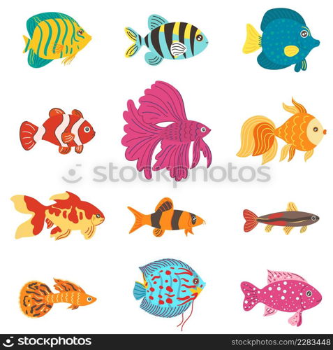 Aquarium fish. Different breeds color decorative fishes, home hobby, water pets, tropical aquatic mini underwater tropical creatures, goldfish with long fin tails, vector cartoon flat isolated set. Aquarium fish. Different breeds color decorative fishes, home hobby, water pets, tropical aquatic mini underwater tropical creatures, goldfish with long fin tails, vector set